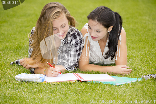 Image of Outdoor study