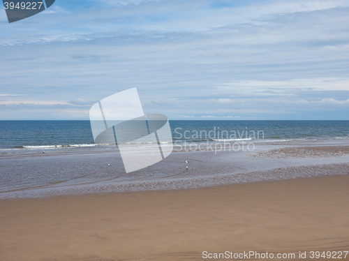 Image of Sea beach shore