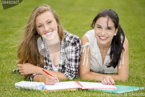 Image of Outdoor study