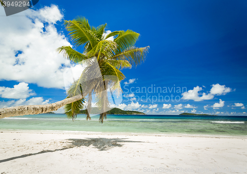 Image of Beautiful beach in Seychelles