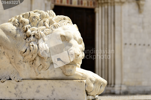 Image of Lion statue in Italy