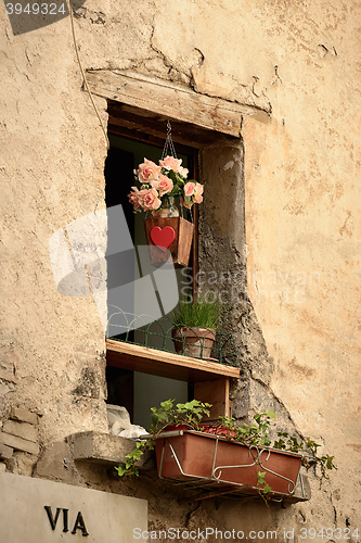 Image of Window with flowerpot