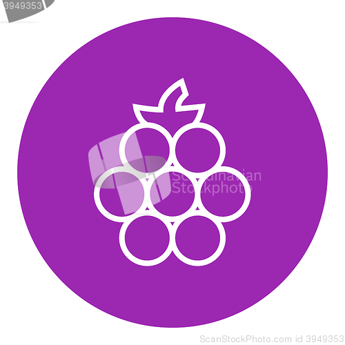 Image of Raspberry line icon.