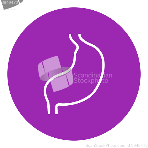 Image of Stomach line icon.