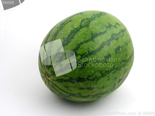 Image of Watermelon