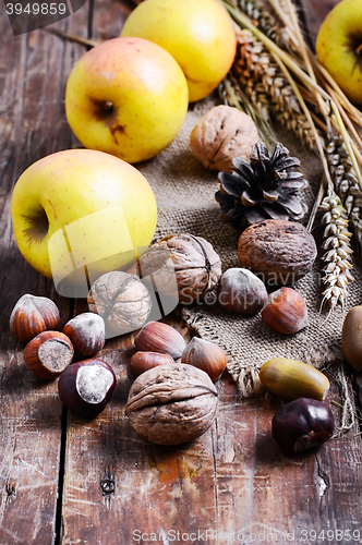 Image of Autumn still life with apples and nuts