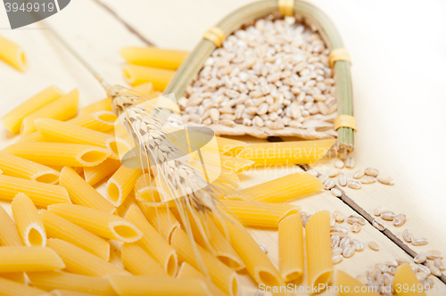 Image of Italian pasta penne with wheat