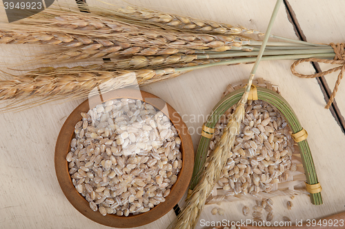 Image of organic wheat grains 