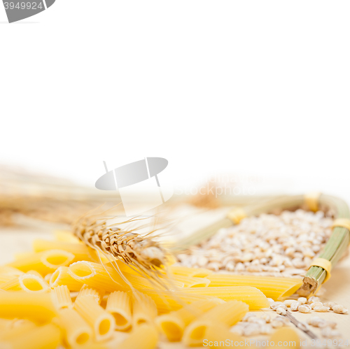 Image of Italian pasta penne with wheat