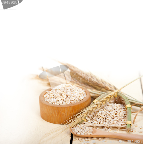Image of organic barley grains