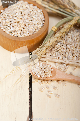 Image of organic barley grains