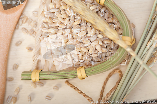 Image of organic barley grains