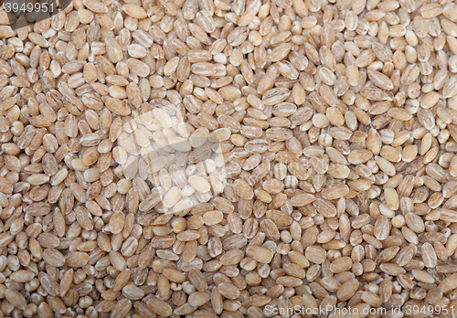 Image of organic wheat grains 