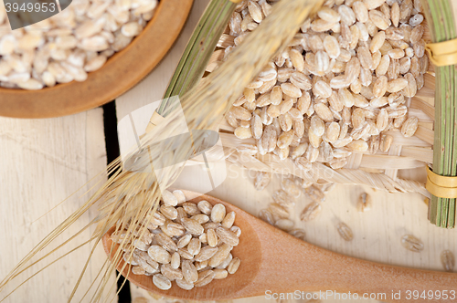 Image of organic barley grains