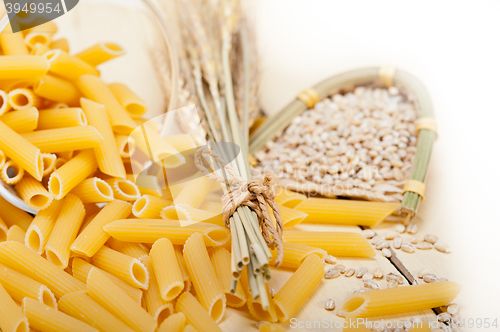 Image of Italian pasta penne with wheat