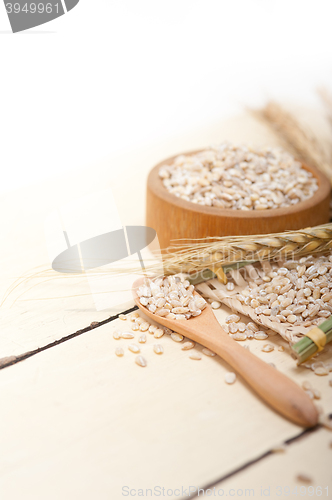 Image of organic barley grains