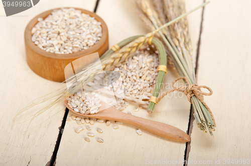 Image of organic barley grains