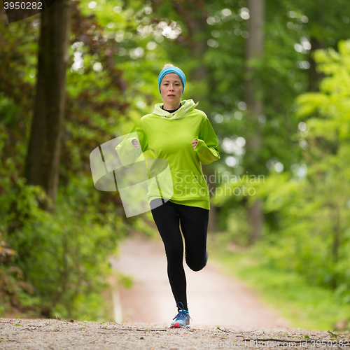 Image of Sporty young female runner in the forest. 