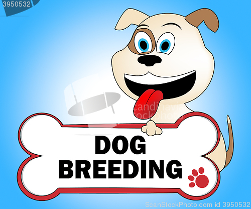 Image of Dog Breeding Represents Husbandry Puppies And Reproduce