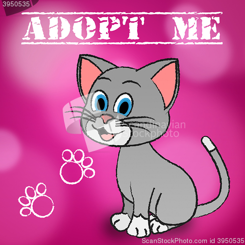 Image of Adopt Cat Indicates Adoption Felines And Pet