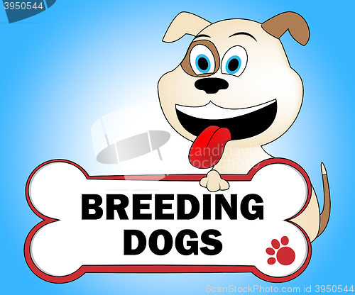 Image of Breeding Dogs Represents Mating Doggy And Doggie