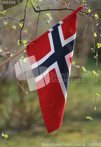 Image of 17th of MAY Norwegian-Flag!