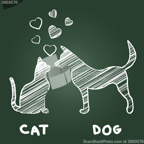 Image of Pets Love Indicates Domestic Cat And Adoration