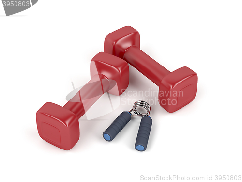 Image of Dumbbells and hand gripper