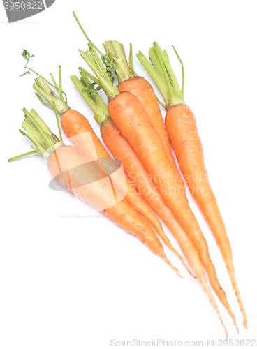 Image of heap of carrots