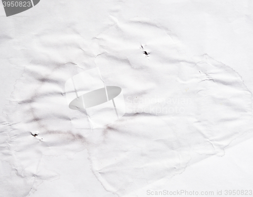 Image of wrinkled paper texture