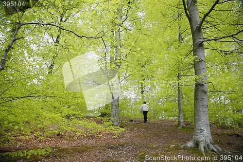 Image of Lonely walk