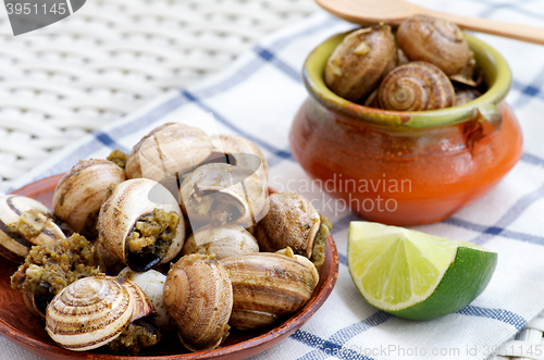 Image of Snails with Garlic Butter