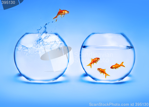 Image of goldfish jumping out of the water