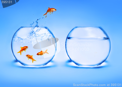 Image of goldfish jumping out of the water