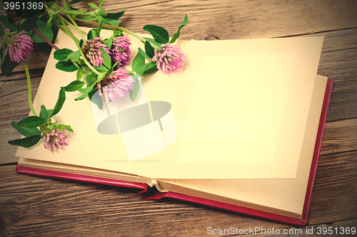 Image of photo album and clover flowers