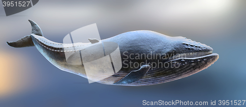 Image of Whale model