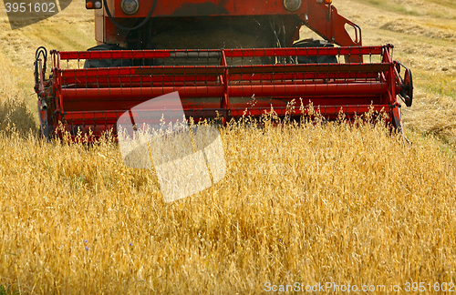 Image of Working combine harvester in crop field