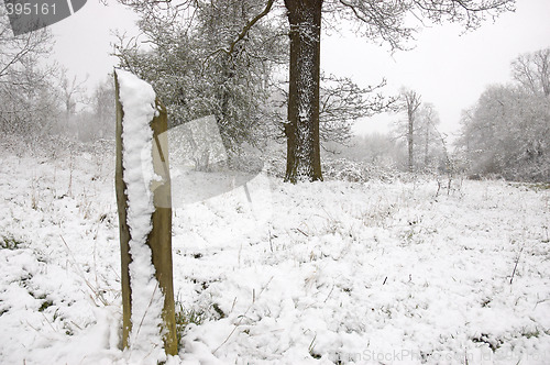 Image of Snowy pole