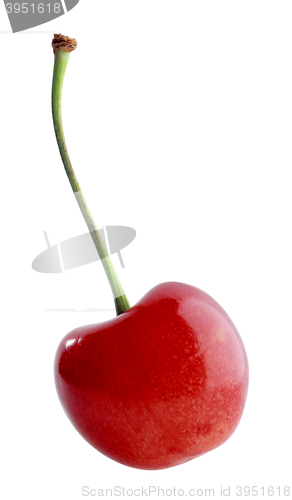 Image of Sweet cherry