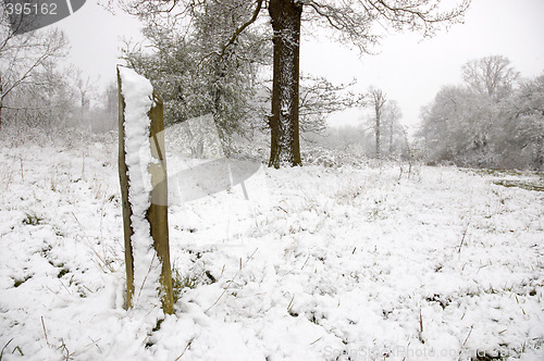 Image of Snowy pole