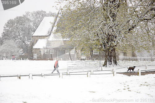 Image of Walking in the snow