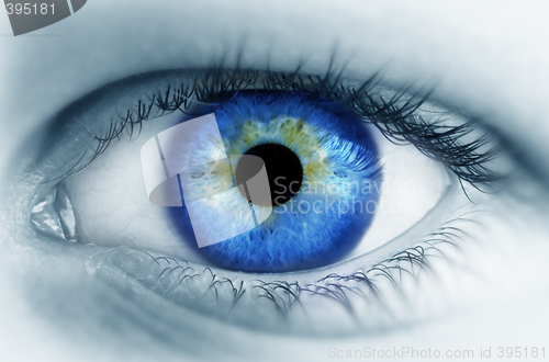 Image of  Blue eyes