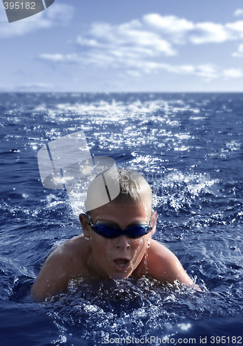 Image of The swimmer