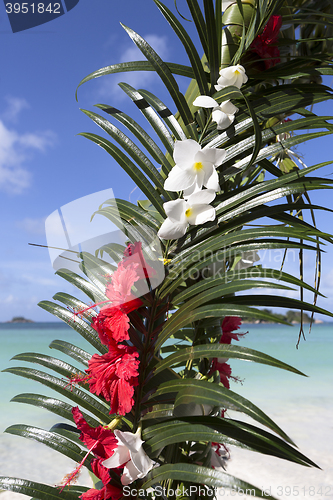 Image of Wedding decoration at Praslin island, Seychelles