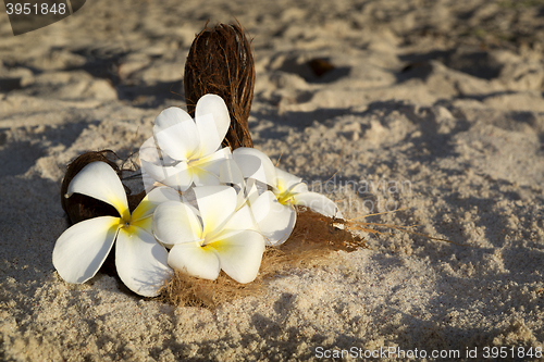 Image of Flower decoration for wedding at the beach, Seychelles