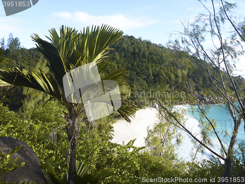 Image of Tropical landscape of coast of Anse Georgette, Seychelles   