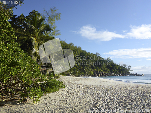 Image of Beach of Anse Georgette, Seychelles   