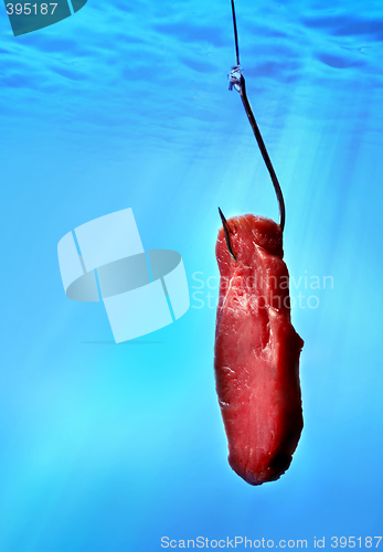 Image of A hook with meat in blue water