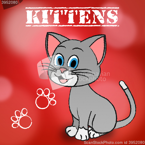 Image of Kittens Word Indicates Domestic Cat And Cats
