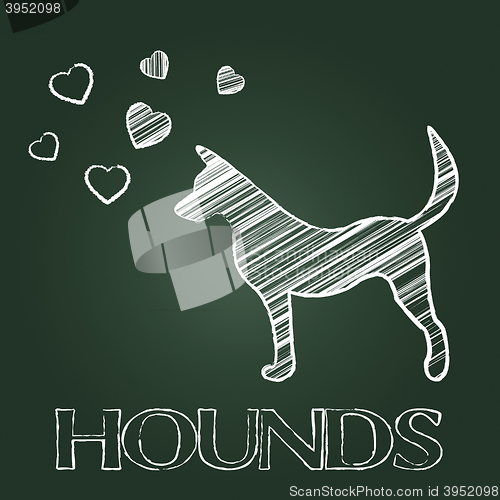 Image of Hound Dog Indicates Dogs Canines And Hounds